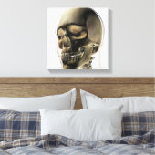 Toile Trois Dimensions Du Crâne Humain Et Des Dents (Insitu(Chambre))