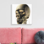 Toile Trois Dimensions Du Crâne Humain Et Des Dents (Insitu(Salon))