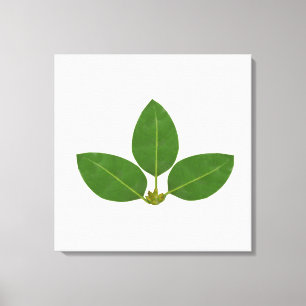 Toile Trois feuilles de laurier vertes modernes