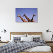 Toile Trois girafes (Insitu(Chambre))