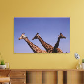 Toile Trois girafes (Insitu(Salon))