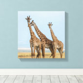 Toile Trois girafes en pose (Insitu (Plancher de Bois))