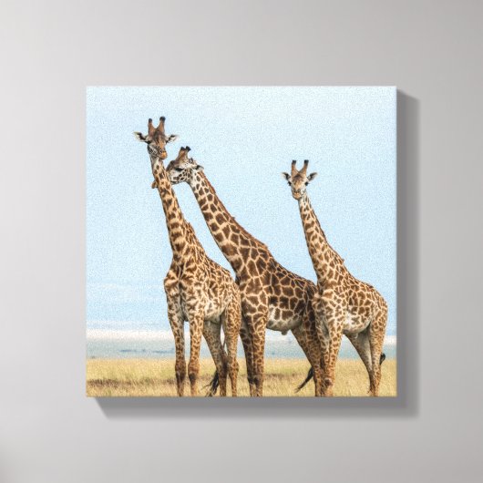 Toile Trois girafes en pose (Recto)