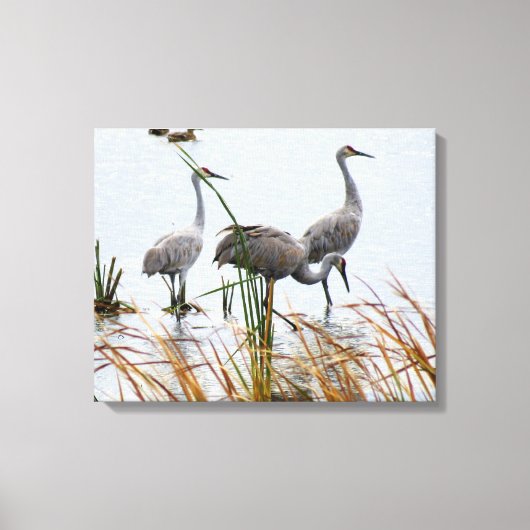 Toile Trois Grues Sandhill (Recto)