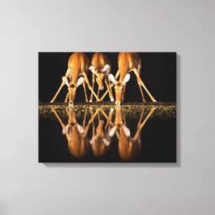 Toile Trois impalas boivent ensemble la nuit
