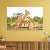 Toile Trois Lions En Train De Boire (Insitu(Salon))