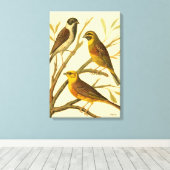 Toile Trois oiseaux domestiques perchés sur une branche (Insitu (Plancher de Bois))