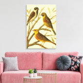 Toile Trois oiseaux domestiques perchés sur une branche (Insitu(Salon))