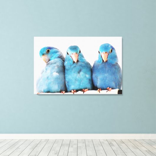 Toile Trois perroquets Pacific Blue Parrotlets Art (Insitu (Plancher de Bois))