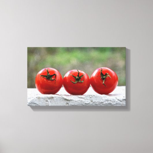 Toile Trois tomates sur le mur (Recto)