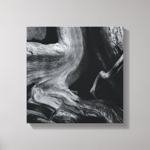 Toile Tronc d'arbre mort