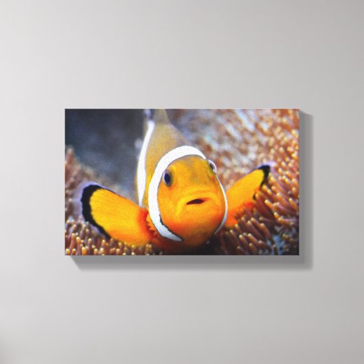 Toile Tropcal reef fish (Recto)