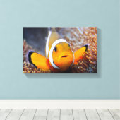 Toile Tropcal reef fish (Insitu (Plancher de Bois))