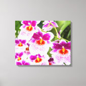 Toile Tropical Fuchsia Orchidées Enveloppée (Recto)