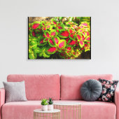 Toile tropicale Coleus vert rose (Insitu(Salon))