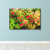 Toile tropicale Coleus vert rose (Insitu (Plancher de Bois))