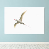 Toile Tropicbird à queue rouge (Insitu (Plancher de Bois))