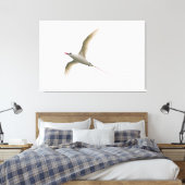 Toile Tropicbird à queue rouge (Insitu(Chambre))