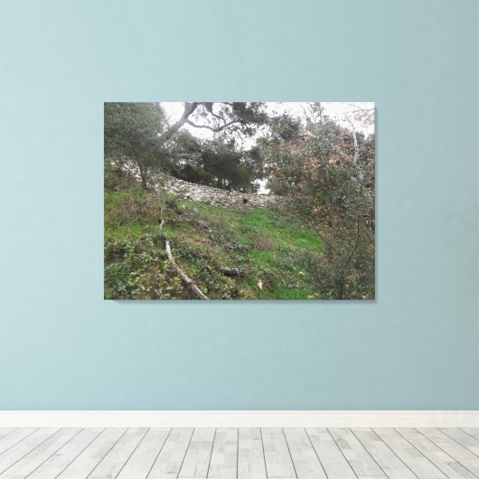 Toile Trou dans la paroi rocheuse (Insitu (Plancher de Bois))