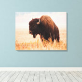 Toile Troupeau De Bison Américain (Bison Bison) À Teton  (Insitu (Plancher de Bois))