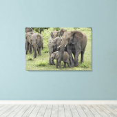 Toile Troupeau d'éléphants d'Afrique (Insitu (Plancher de Bois))