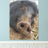 Toile T'tig (Insitu (Plancher de Bois))