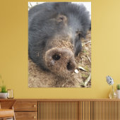 Toile T'tig (Insitu(Salon))