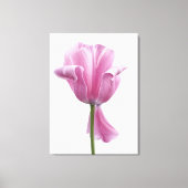 Toile Tuliforme rose (Recto)