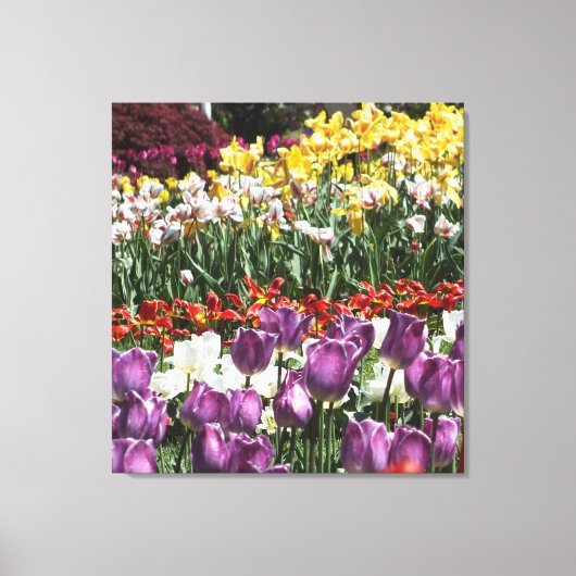 Toile Tulip Garden Wrapper Canvas Imprimer (Recto)