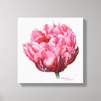 Tulipe. Aquarelle botanique