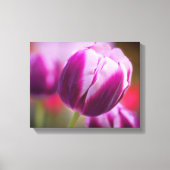 Toile Tulipe pourpre à deux tons (Recto)