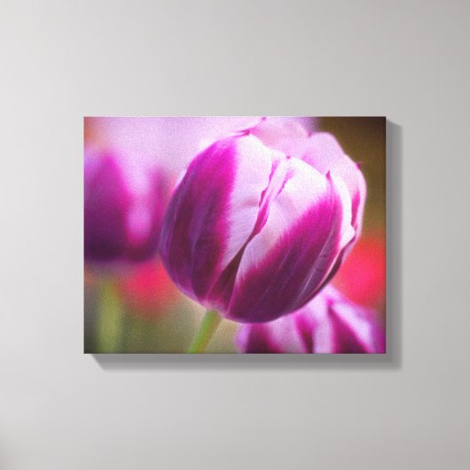 Toile Tulipe pourpre à deux tons (Recto)