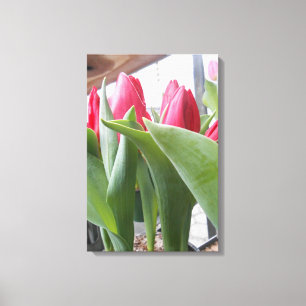 Toile Tulipe rouge