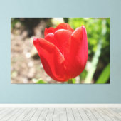 Toile Tulipe rouge brillante (Insitu (Plancher de Bois))