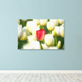 Toile Tulipe rouge dans un champ de tulipes blanches (Insitu (Plancher de Bois))