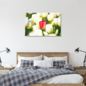 Toile Tulipe rouge dans un champ de tulipes blanches (Insitu(Chambre))