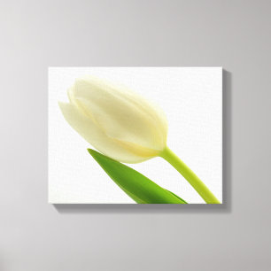 Toile Tulipe simple