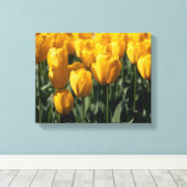 Toile Tulipes 3 (Insitu (Plancher de Bois))