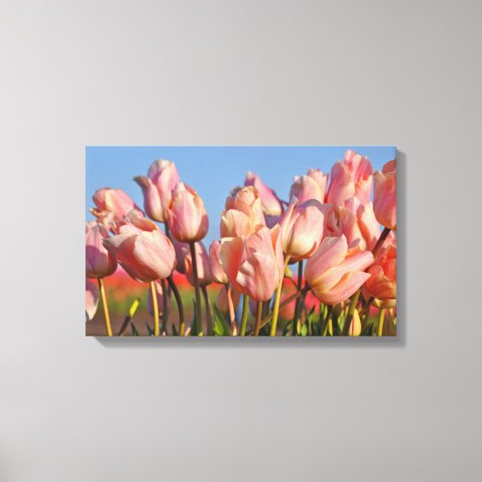Toile Tulipes à ressort rose (Recto)