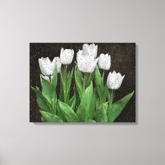 Toile Tulipes blanches avec gouttes de pluie sur verre (Recto)