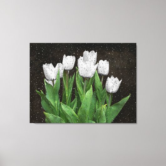 Toile Tulipes blanches avec gouttes de pluie sur verre (Recto)