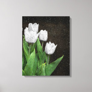 Toile Tulipes blanches avec Raindrops