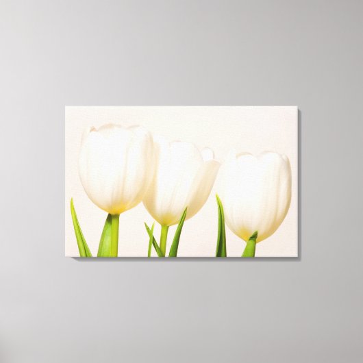 Toile Tulipes blanches sur fond blanc, (Recto)