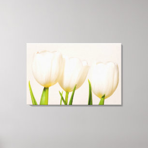 Toile Tulipes blanches sur fond blanc,