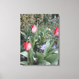 Toile Tulipes de jardin rouge