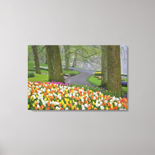 Toile Tulipes et route, Jardins de Keukenhof, Lisse,
