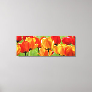 Toile Tulipes jaunes et rouges