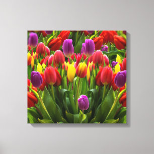 Toile Tulipes lumineuses