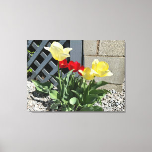 Toile Tulipes n° 5
