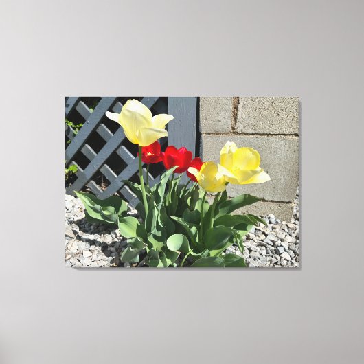 Toile Tulipes n° 5 (Recto)